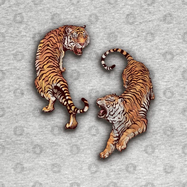 Tigers by JennyPool